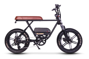 FLX Bikes - Bandit Motorbike